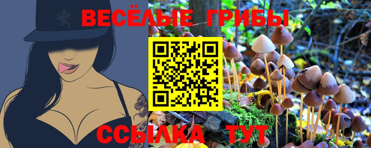 Псилоцибиновые грибы мицелий  Вход с VPN  Донецк 