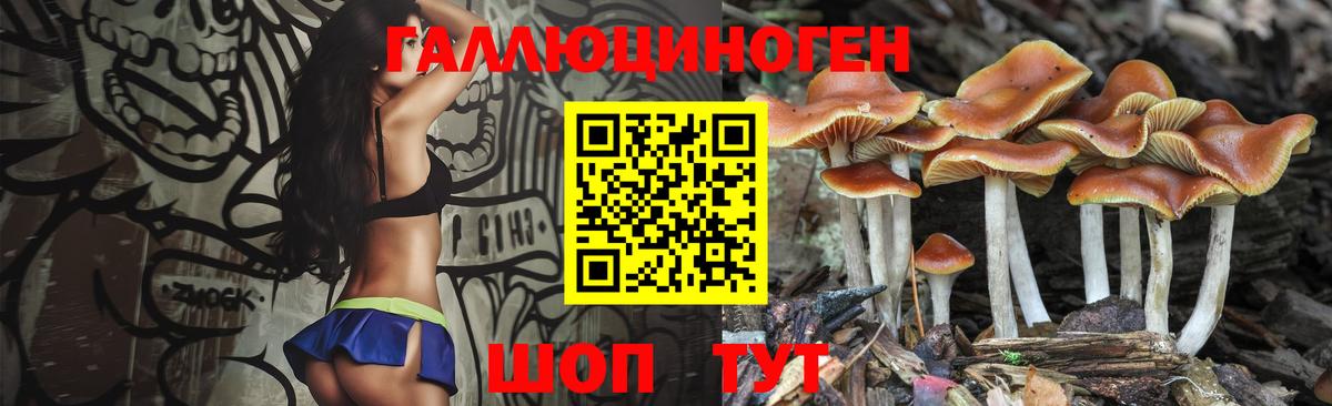 Галлюциногенные грибы Magic Shrooms Донецк